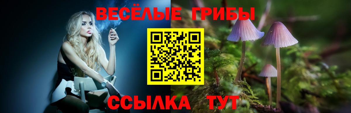 Псилоцибиновые грибы Cubensis  Вход с VPN  Зима 
